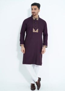 FlexTone Premium Embroidery Panjabi/ Color – Kolija