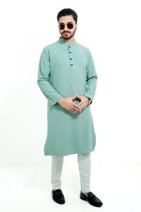 প্রিমিয়াম মাইক্রোস্টিজ সলিড পাঞ্জাবি/ কালার >Pest